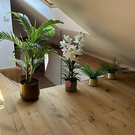 公寓 Mediterrane - Florence 法兰肯塔尔