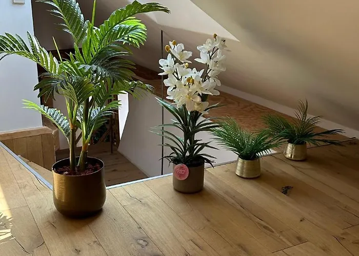 Apartamento Mediterrane - Florence Frankenthal (Rhineland-Palatinate)